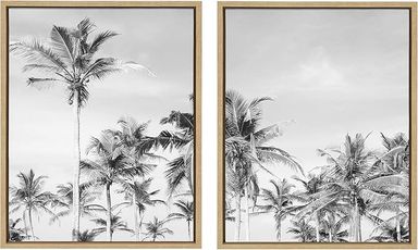 Amazon.com: Kate and Laurel Sylvie Coastal Coconut Palm Tree Beach Framed Canvas Wall Art Set by The Creative Bunch Studio, 2 Piece 18x24 Natural, Chic Coastal Art for Wall: Posters & Prints