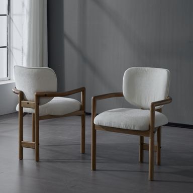 Dining Chairs Set of 2