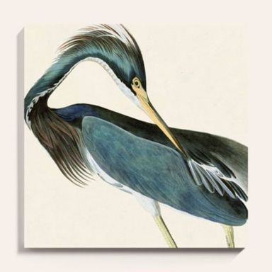 Sea Heron Framed Print