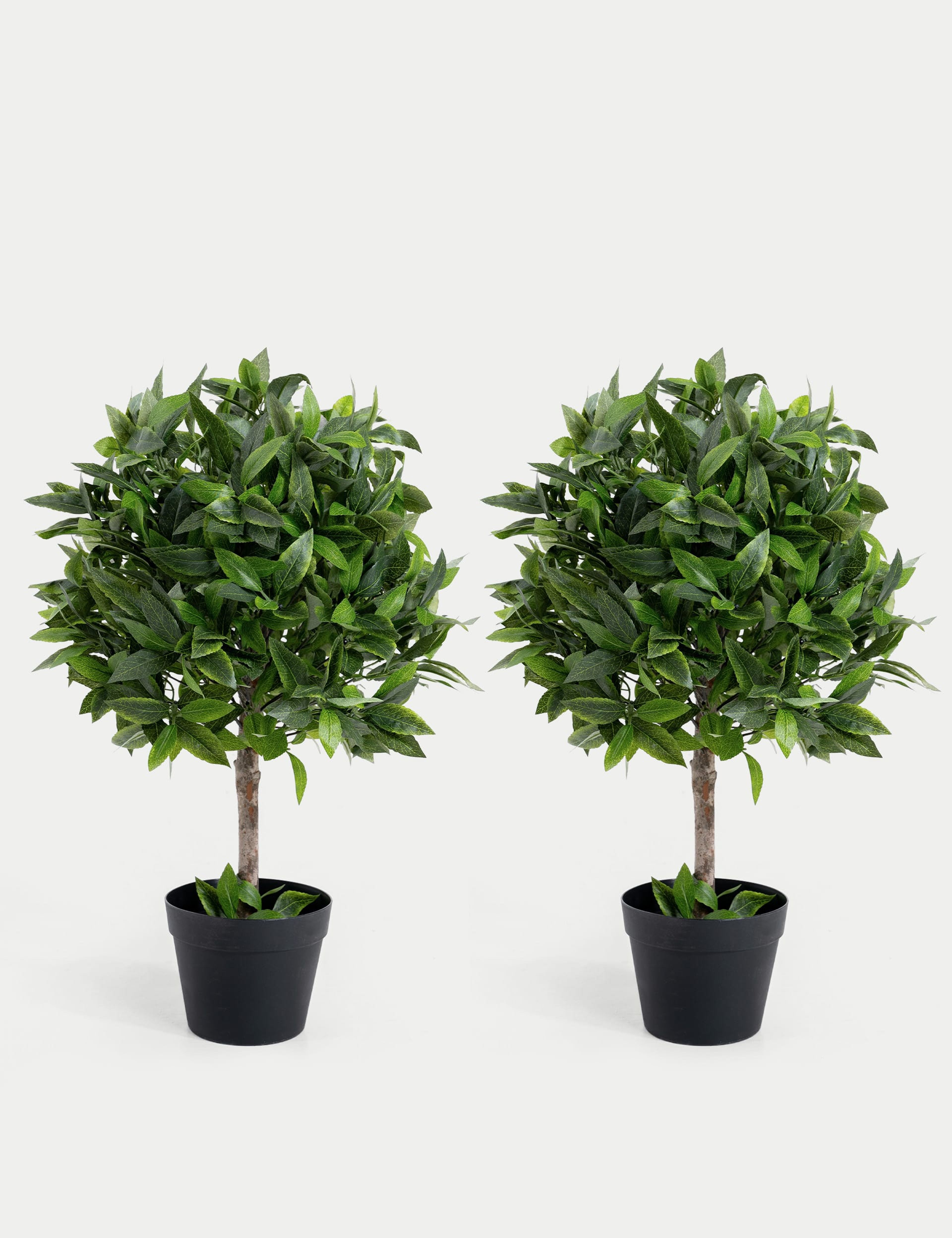 2.5ft Set of 2 Artificial Bay Bush Ball Trees - Glossy Greenery