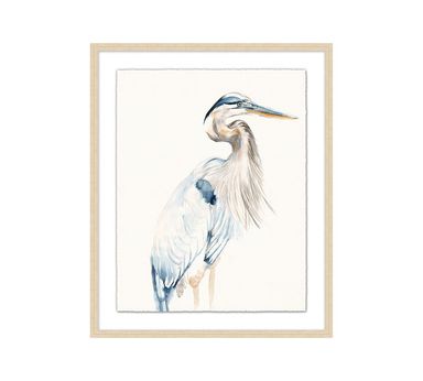 Gentle Heron Framed Print