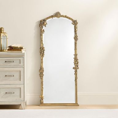 Harry Potter™ Herbology Full-Length Mirror (24"x57")