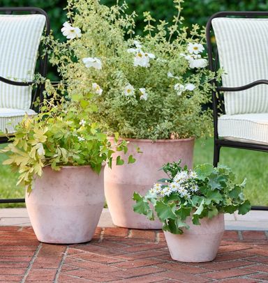 Antique Terracotta Planters