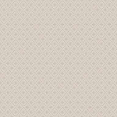 Borastapeter Boråstapeter Windrose Wallpaper | Perigold