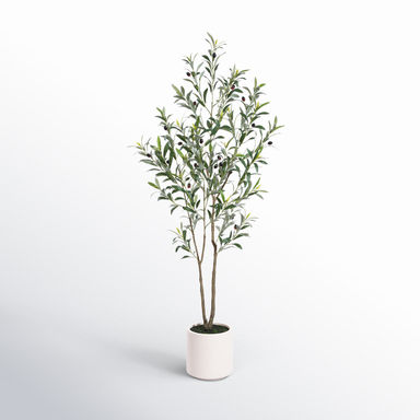 Primrue Adcock Faux Olive Tree in White Planter, Lifelike Fake Olive Plant for Indoor and Outdoor Decor & Reviews | AllModern