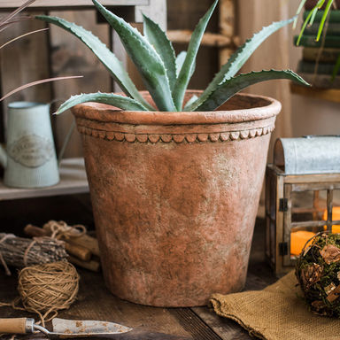 Bungalow Rose Keilson Terracotta Pot Planter & Reviews | Wayfair