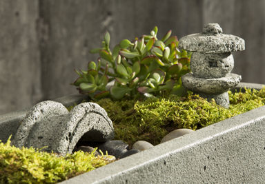 2 Piece Tranquility Garden Statue Set