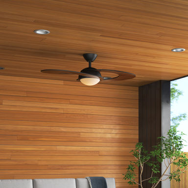 Amiliah Wi-Fi Enabled Smart Ceiling Fan