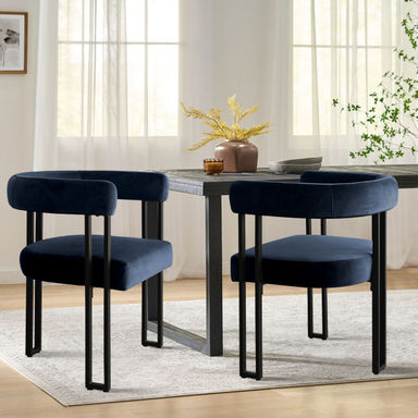 Dulcine Velvet Upholstered Armchair (Set of 2)