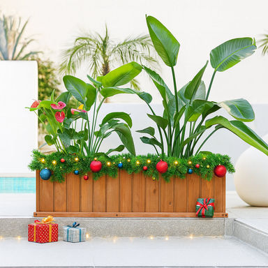 Barros Outdoor Wood Planter Box New green house beauty and hope Raised Garden Bed