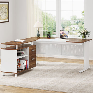 17 Stories Ottovile 63'' W Executive Desk with File Cabinet for Home Office & Reviews | Wayfair