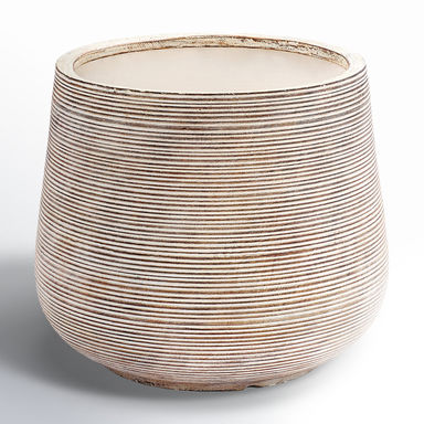 Paloma Magnesium Oxide Pot Planter | Joss & Main