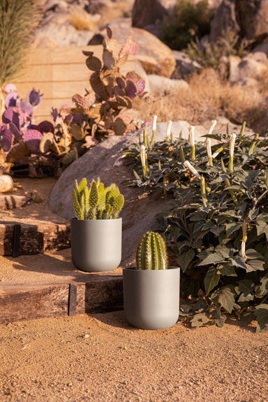 Mason Series Kona Planter | AllModern