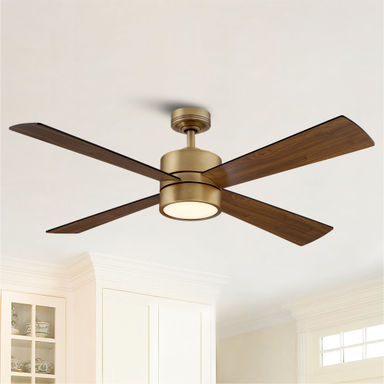 Camran 52'' Ceiling Fan with LED Lights