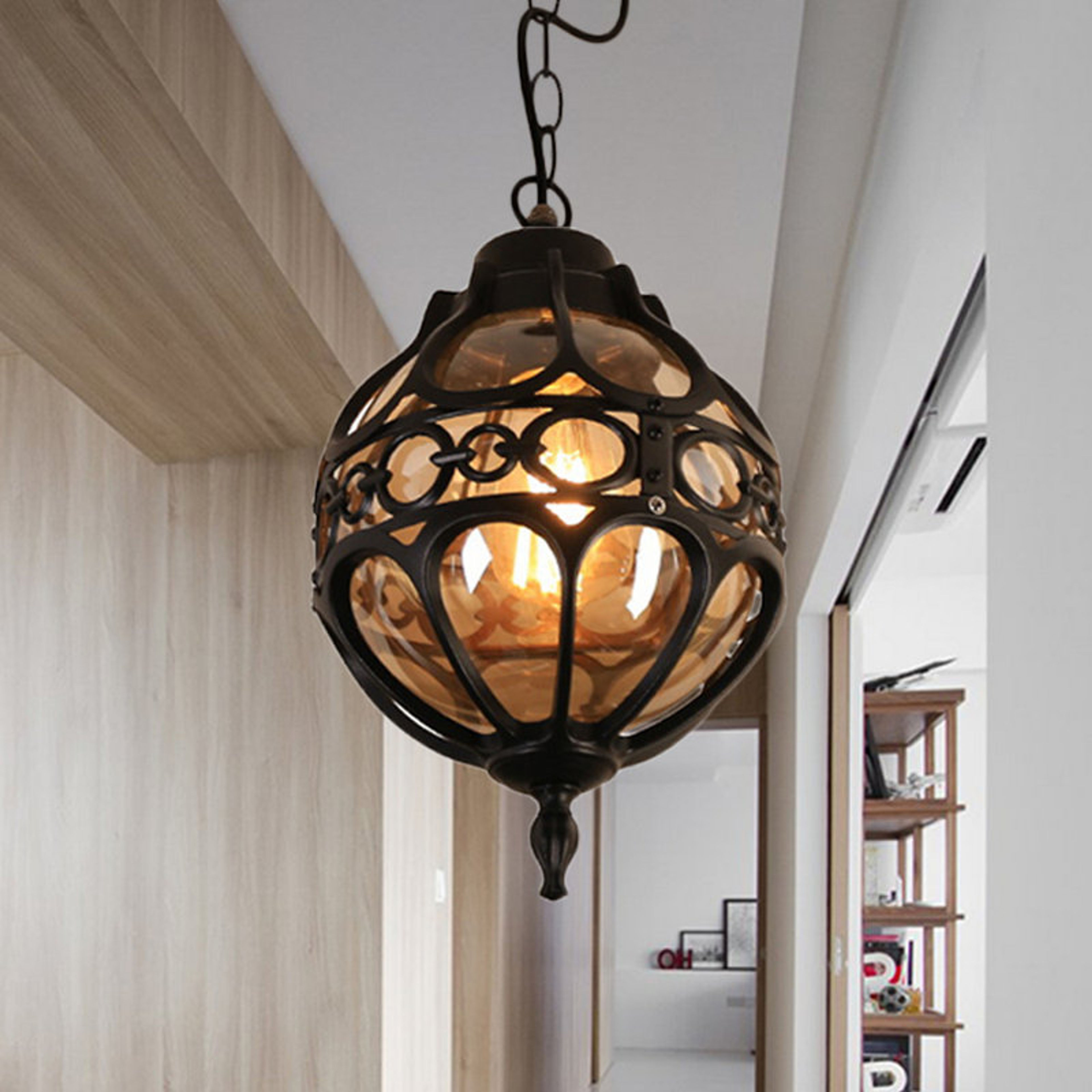 Ahlanna 1-Light Unique Black Globe Pendant Light