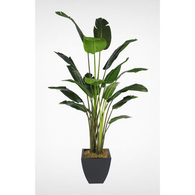 Jenny Silks 8' Artificial Banana Leaf Tree in a Black Metal Pot | Wayfair