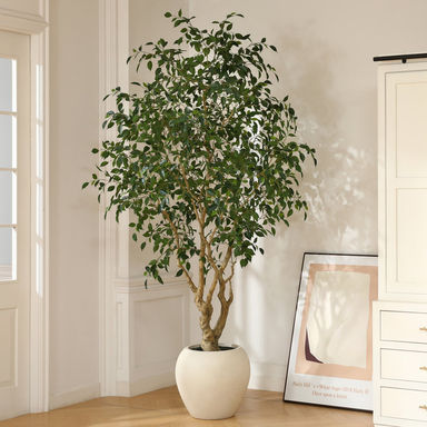 Adcock 8ft Artificial Ficus Tree with 18in White Planter, Tall Faux Ficus Tree for Outdoor