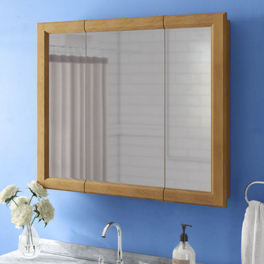 Searle Medicine Cabinet - Bathroom Wall Cabinet with Framed Mirrored Doors