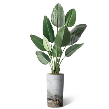SIGNLEADER Artificial Tree In Planter, Fake Bird of Paradise Silk Tree Home Decoration (Plant Pot Plus Tree) & Reviews | Wayfair