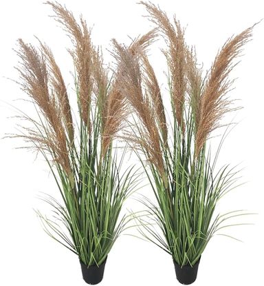 Amazon.com: ECOFOREST 47" (4ft,2Pack) Pampas Grass Potted Plants - Artificial Faux Plants Featuring Tall Grass, Fake Grass - Perfect Home Decor for Plant Room Decoration or As Floor Plants. : Home & Kitchen