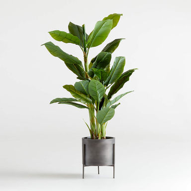Artificial/Faux Banana Tree 6' + Reviews | Crate & Barrel