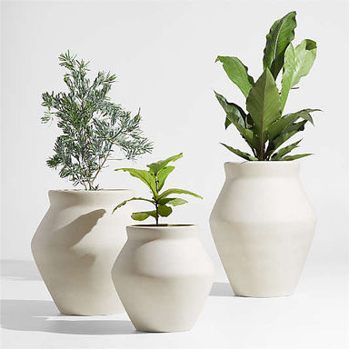 Round Planters, Sphere Planters & Round Plant Pots | Crate & Barrel
