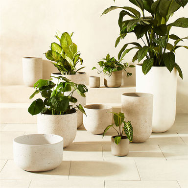 Outdoor Planters