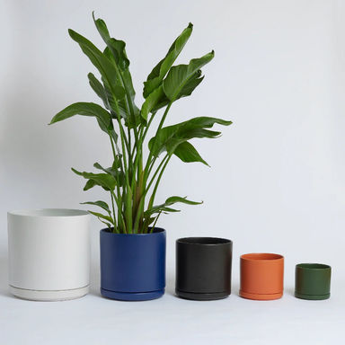 Solid Goods Ceramic Cylinder with Saucer