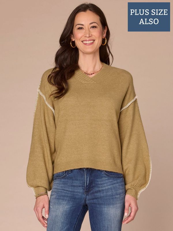 Blouson Sleeve V-Neck Blanket Stitch Embroidered Plus Size Sweater