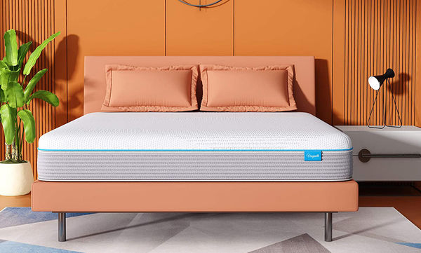 Vesgantti 2021 Version Hybrid Mattress-24cm