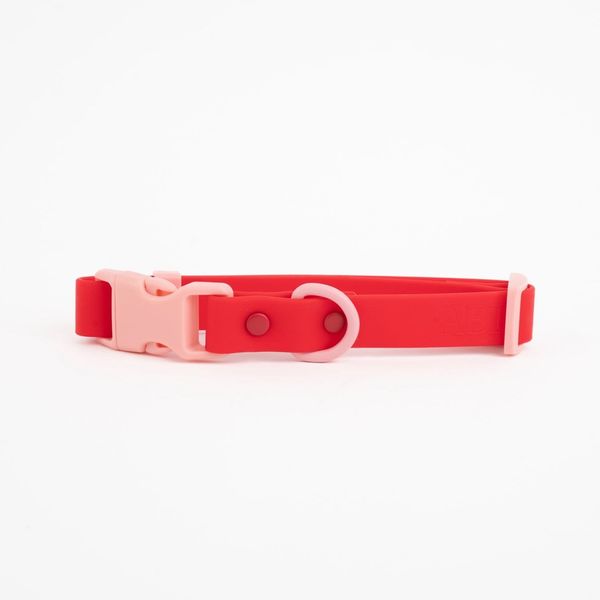 The Fritz Dog Collar