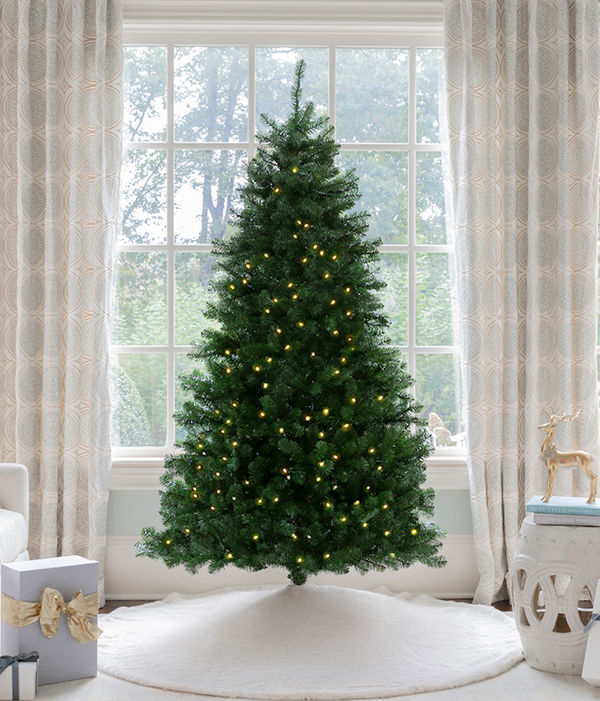7' Hancock Spruce  Tree 450 Warm White LED Lights OPEN BOX - FINAL SALE