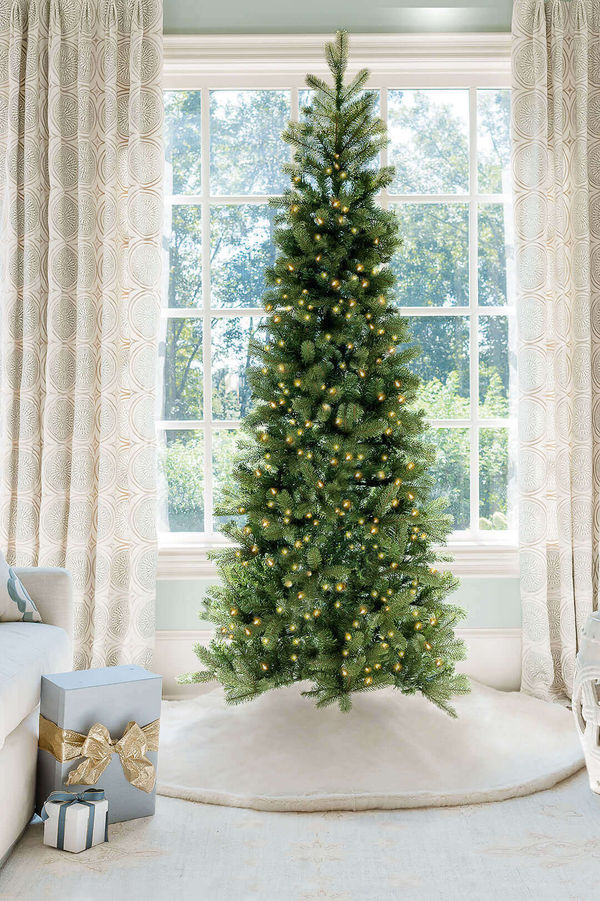 10' King Douglas Fir Slim Tree with Warm White LED Lights - OPEN BOX - FINAL SALE