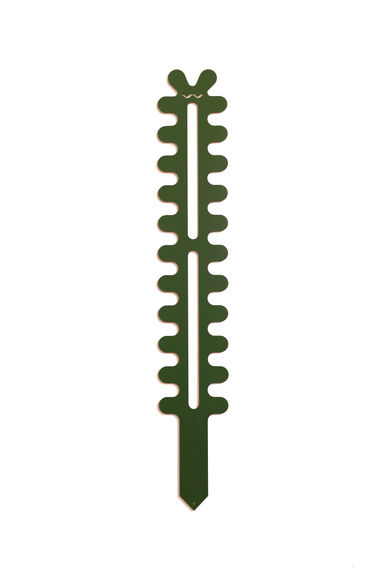 Fishbone Cactus - Large - Forest Green