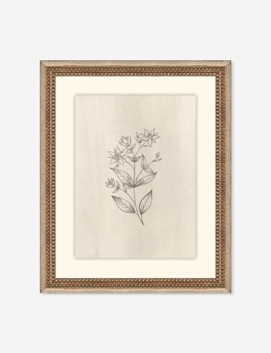 Elegant Botanical VII Wall Art by Makai Howell