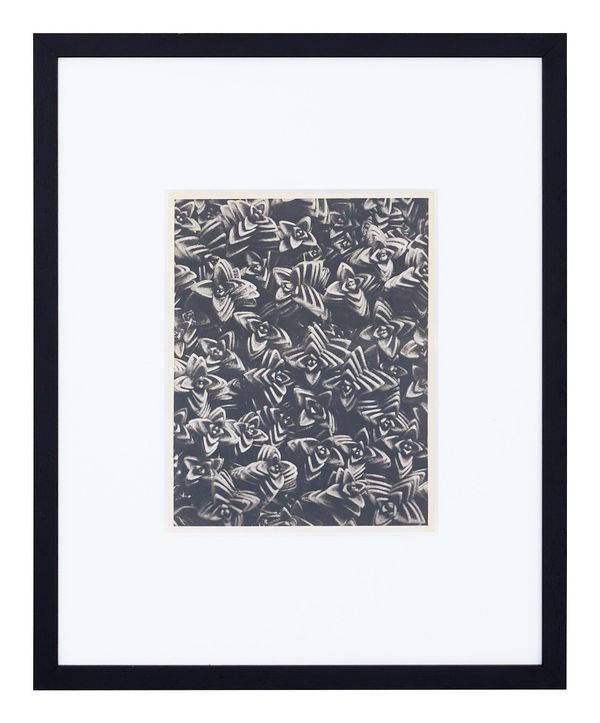 Vintage Blossfeldt Print - XXII