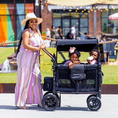 W2 Luxe Double Stroller Wagon (2 Seater)
