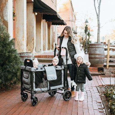 W2 Original+ Double Stroller Wagon (2 Seater)