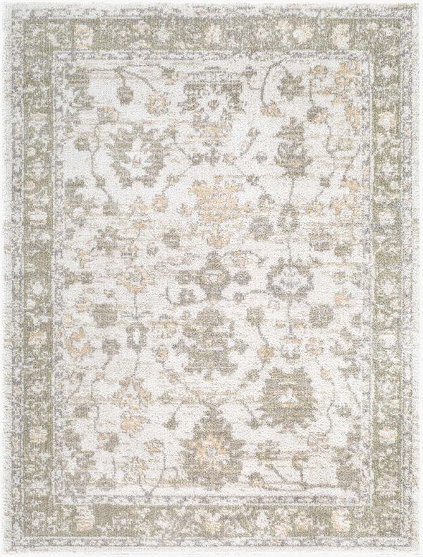 Araripina Traditional Area Rug