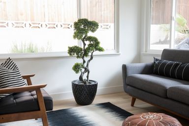 45" Tall Artificial Faux Bonsai With Real Touch | Vintage Home