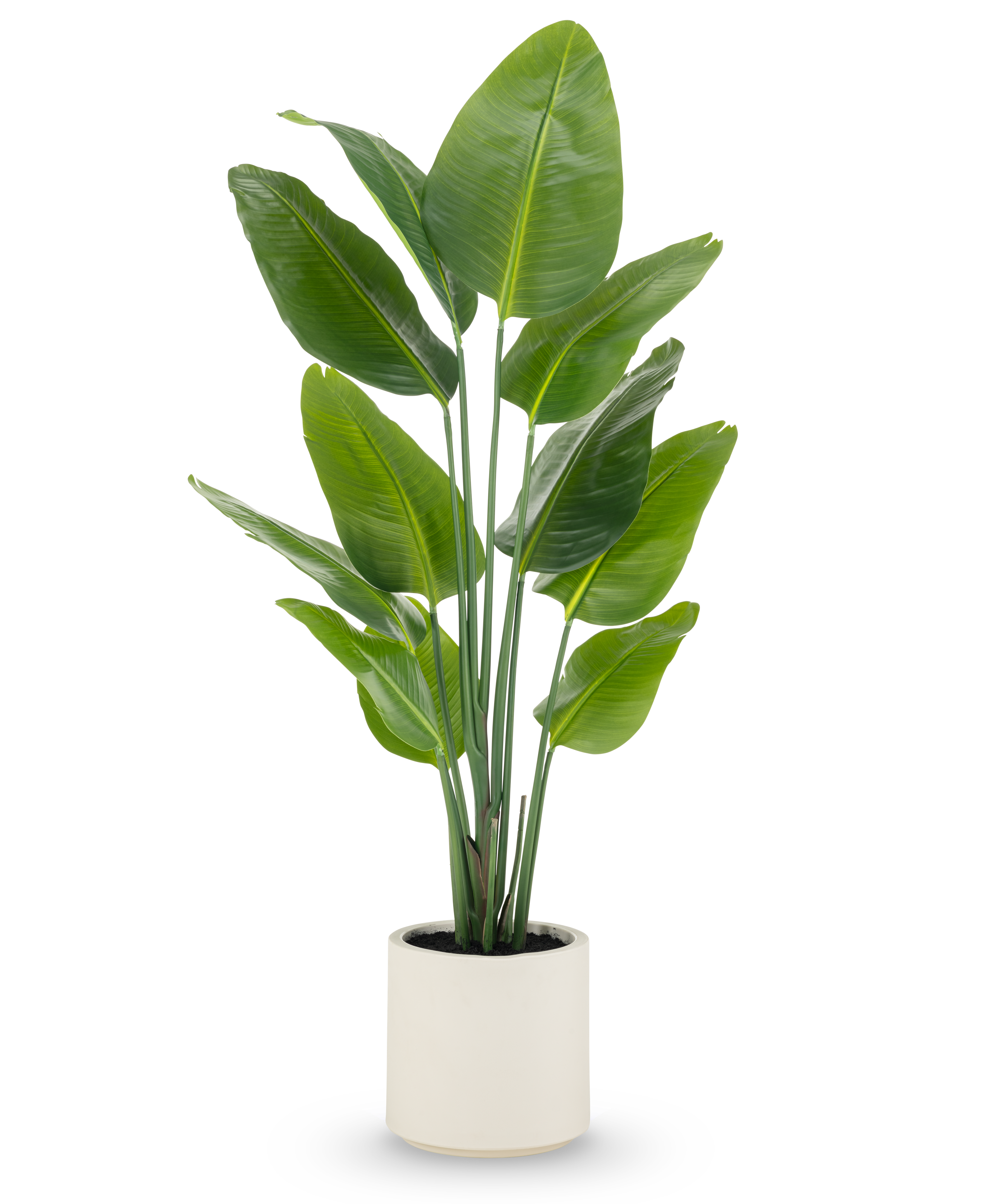 Kunstplant Strelitzia Real Touch 150 cm Beige Pot Kant-en-Klaar