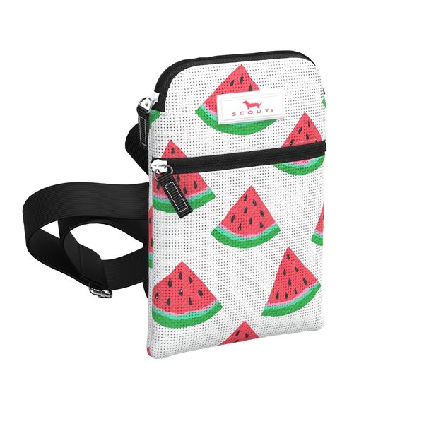 Poly Pocket Crossbody