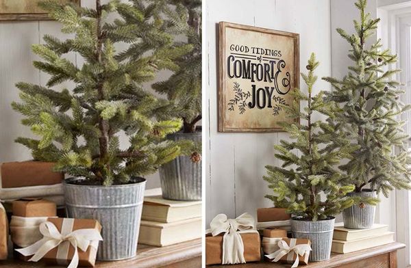 Iced Pine Tree in Galvanized Bucket