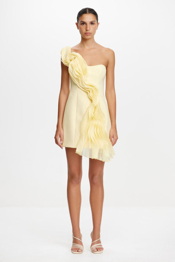 MERRIDALE MINI DRESS