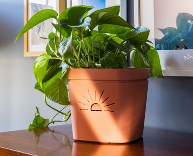 Classic Earth Planter