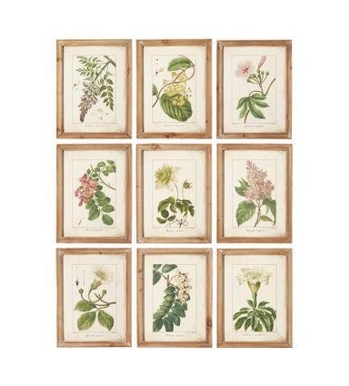 Summer Garden Framed Prints - Set of Nine - Brown