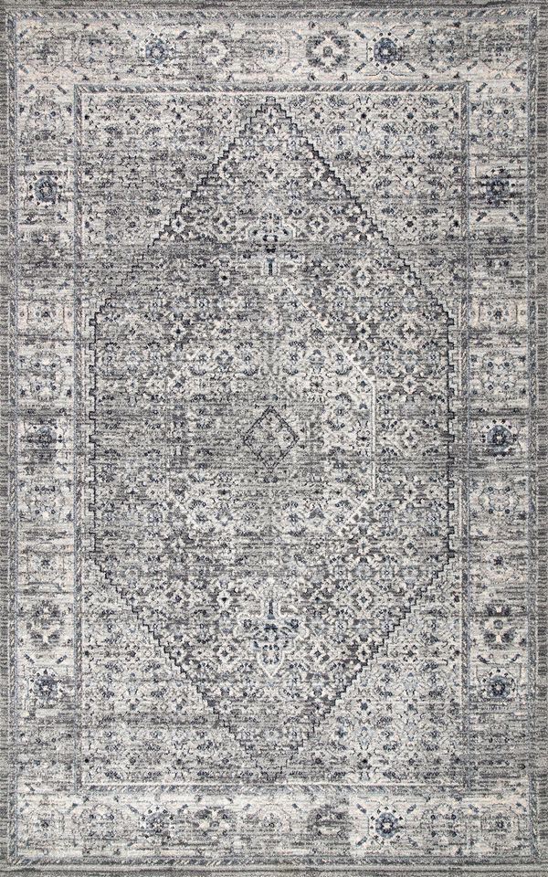 Grey Timeworn Medallion 4' x 6' rug