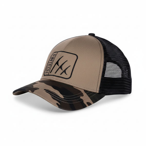 Fintech Snapback | Dune