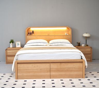 Hamilton Gas Lift Bed