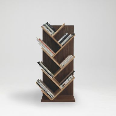 Artie Bookshelf